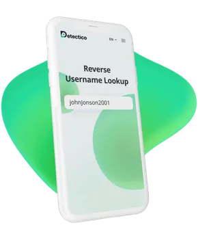 Username Lookup App Detectico