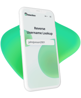 Username Lookup App Detectico