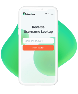 Username Lookup App Detectico