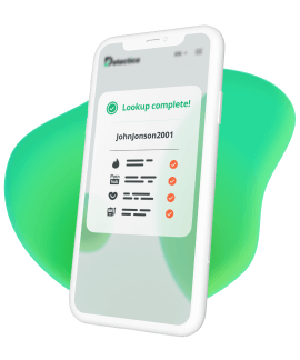 Username Lookup App Detectico